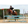 Stage Galop 6/7 - PC