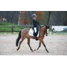 Stage Galop 6/7 - PC